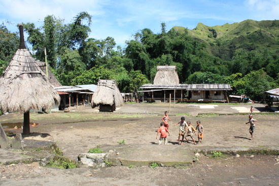 Das sind die traditionellen Doerfer der Ngabas