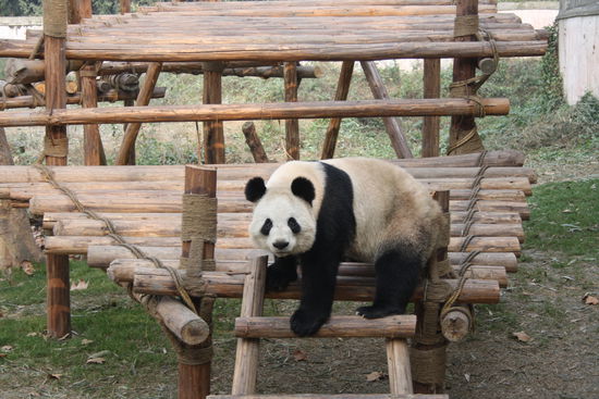 Na da kuckst du was....