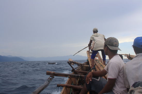 Der Adrinalinspiegel steigt und alle sind wild aufs toeten
