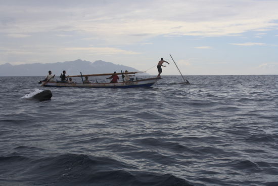 Das ist das andere Boot mit ihrem Wal an der Leine und links im Bild sieht man schon mal unseren noch ungefangenen Wal