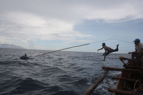 Josep in voller Aktion