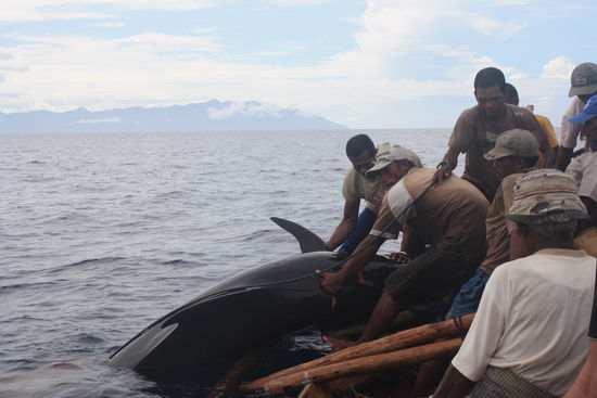 Dann muessens den schweren Brocken nur noch an Board ziehen