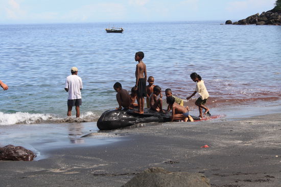 Die Kinder freuen sich riesig auf den Fang und turnen erst mal drauf rum