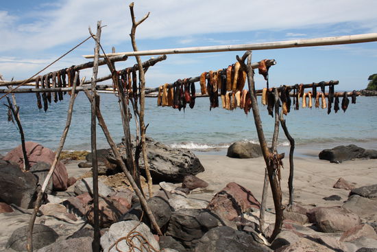 Walfleisch das zum trocknen aufgehaengt wird sieht man hier ueberall im Dorf und deshalb riecht es auch dementsprechend nicht so gut.