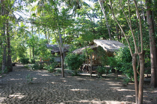 Unser Traumhaus aus Bambus