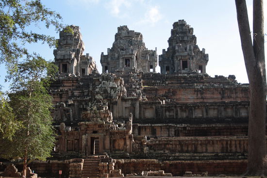 Eine der vielen Pyramiden mitten im Dschungel