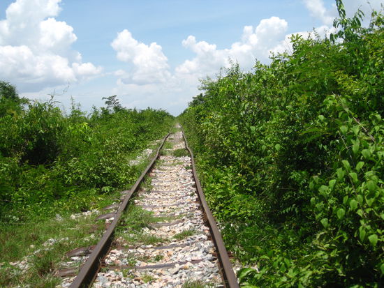 ...auf den schnurgeraden Schienen
