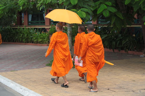 Mönche sieht man hier überall