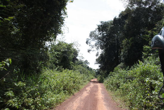 Ist das wirklich der richtige Weg??????