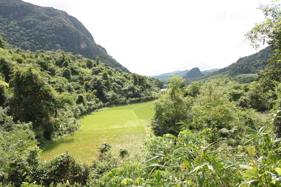 Das grüne Tal hinter dem Dorf mit dem matschigen Weg