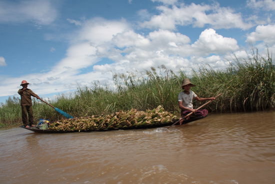 Die bauern bringen ihr Gemüse per Boot zum Markt