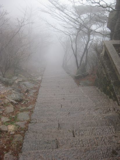 Die geliebten Treppenstufen!!!!