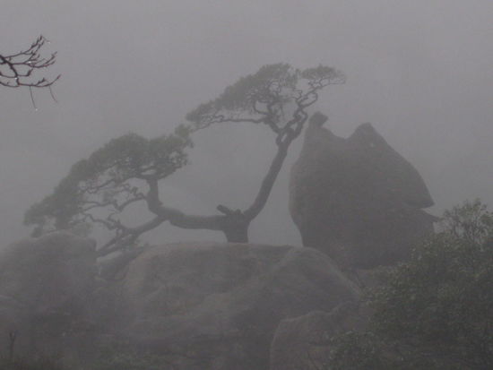 Ein bisschen was sieht man trotz dem Nebel