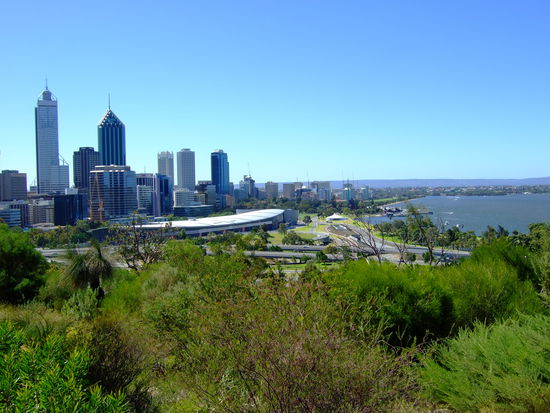 Skyline vom Kings Park gesehen