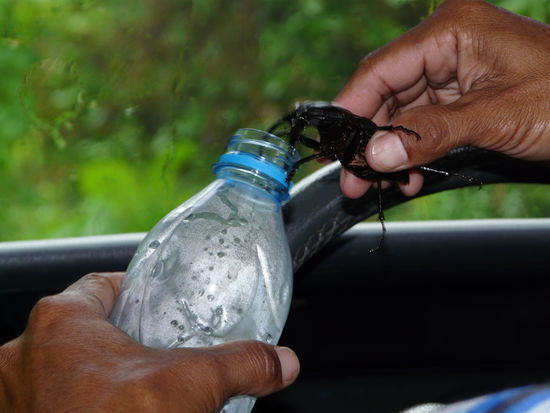 Unsere Hauptmahlzeit.....laechel