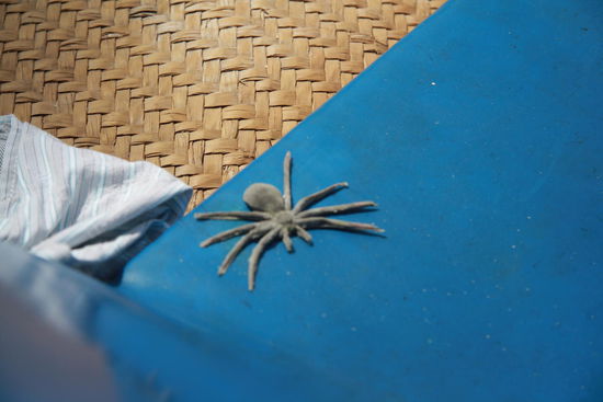 netter Besucher stellte sich spaeter als Atrappe raus