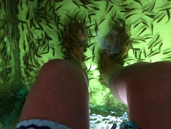 Silke war bei Doctor Fish....man hat das gekrabbelt und hab auch glatt einen totgetrampelt 