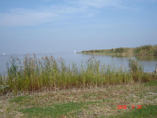 2006 Neusiedlersee