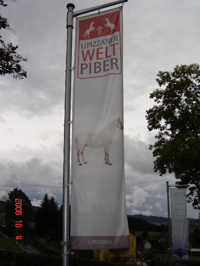 2006 Piber