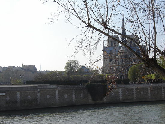 2007 Paris - Notre-Dame; Sicht auf die Kathedrale von der Ile Saint-Louis