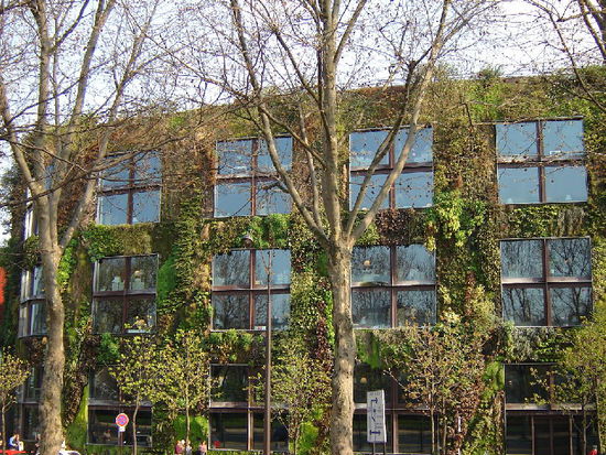 2007 Paris - richtig gesehen? Eine bepflanzte Hausfassade?