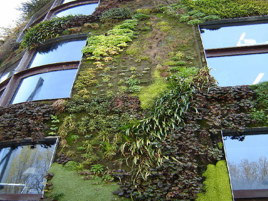 2007 Paris - Musée du Quai Branly - richtig gesehen! Ja, die Hausfassade ist bepflanzt und bewässert!