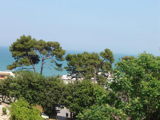 2007 Puglia - unterschiedliche Vegetationszonen