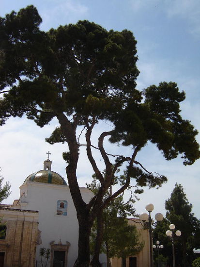 2007 Puglia - Rodi Garganico;