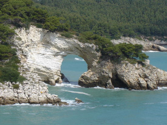 2007 Puglia - Vieste; Steilküste ausserhalb der Stadt