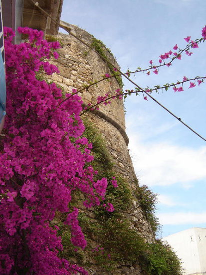 2007 Puglia - Wachtturm gegen die Türken