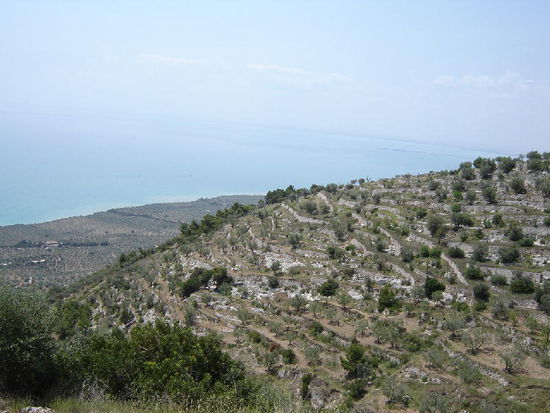 2007 Puglia - was alles den Berghängen abgetrotzt wird