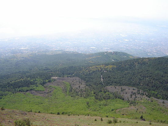 2007 Campania - Vesuv; alte Lavaströme