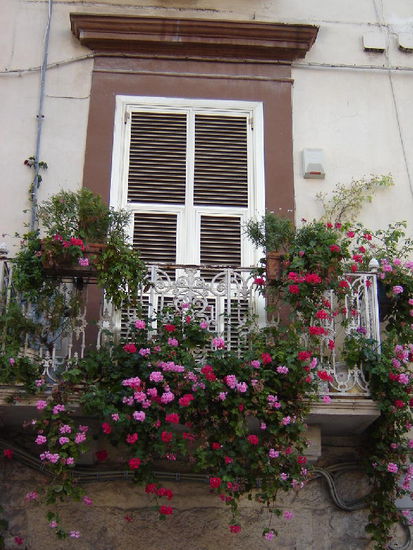 2007 Puglia - Trani; liebliche Gassen und hübsche Häuser