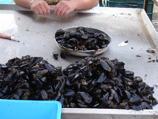 2007 Puglia - Taranto; Cozze ....