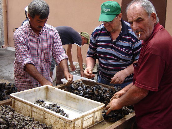 2007 Puglia - Taranto; Männerarbeit