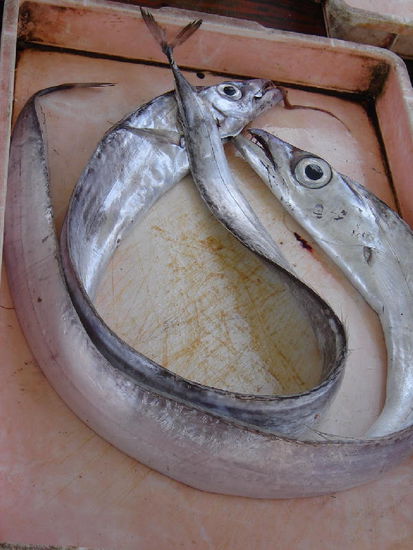 2007 Puglia - Taranto; Fischfang