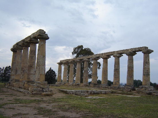 2007 Basilicata - Metaponto; Säulen des dorischen Tempels aus dem 6. JH. vor Chr.