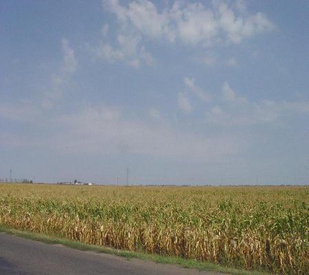Unterwegs nach Szeged 2003 - sind es etwa Farmen nach kanadischem Vorbild?
