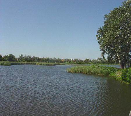 Richtung Hortogàgy Puszta 2003 - Fischreiche Seen