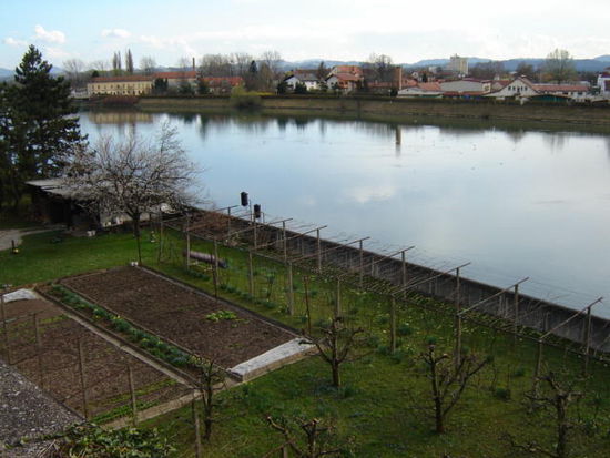 2008 - Ptuj; der Klostergarten
