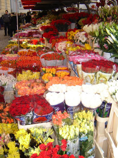 2008 - Ljubljana; der Blumenmarkt, eine Augenweide