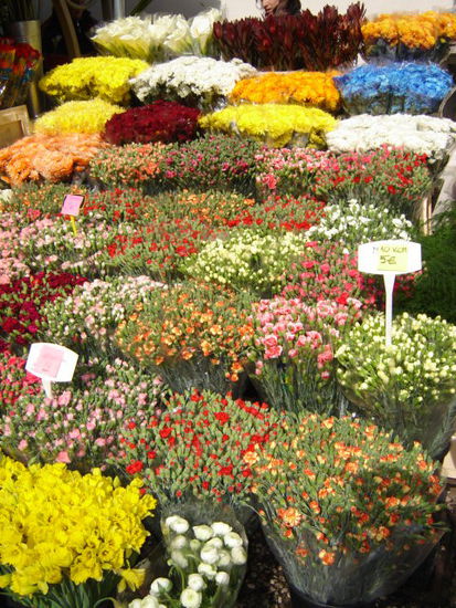 2008 - Ljubljana; der Frühling naht...
