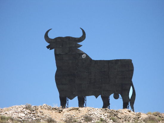 2008 - Spanien olé!