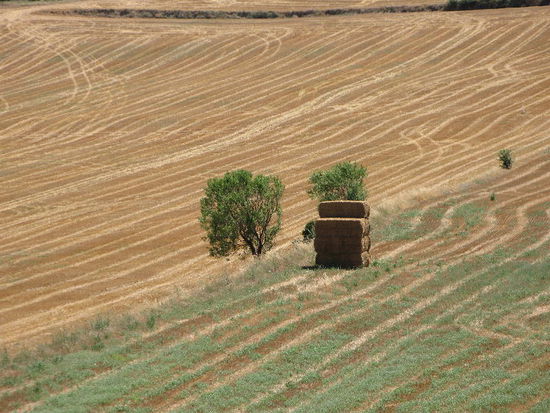 2008 - Spanien; fruchtbare Gebiete