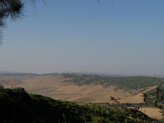 2008 - Vejer de la Frontera; die Umgebung