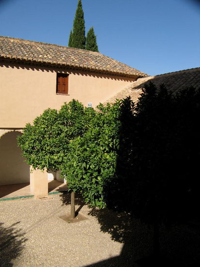 2008 - Generalife; Bitterorangenbaum