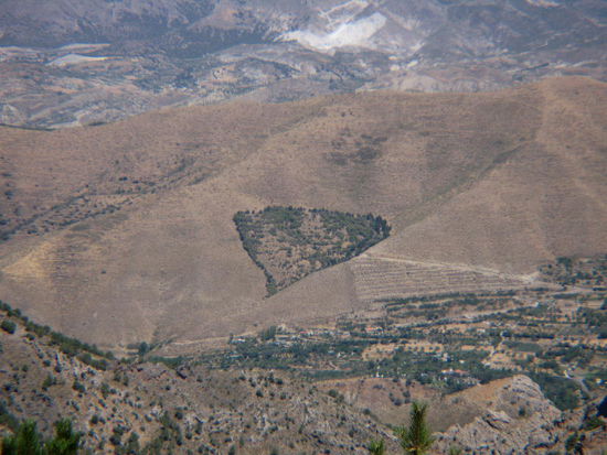 2008 - Sierra Nevada; hübsch hingepflanzt...