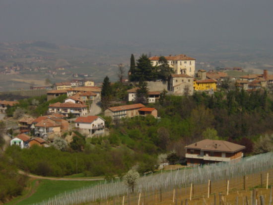 2008 - Monforte d'Alba; Castello Perno
(Bild aus 2004)