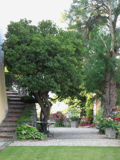 2008 - Monforte d'Alba; beschauliche Ruhe