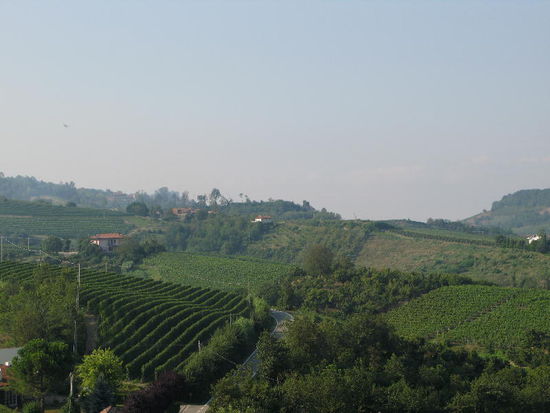 2008 - Monforte d'Alba; im Herzen des Barolo